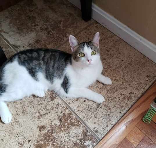 Photo of Emmy Lou