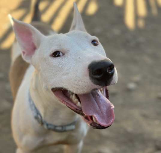 Photo of Mack