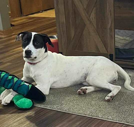 Photo of Gretchen