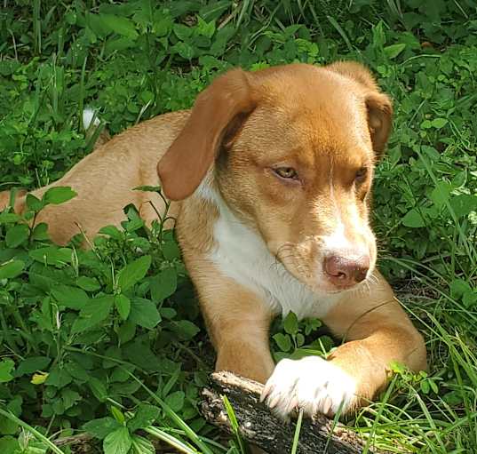Photo of Trinket