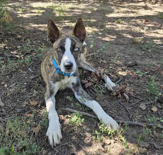 Photo of Waylon