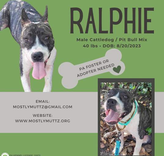 Photo of Ralphie