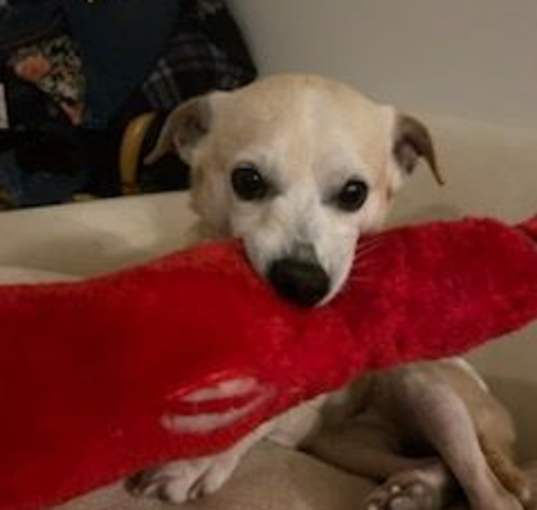 Photo of Sonny