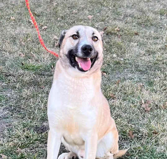 Photo of Jack