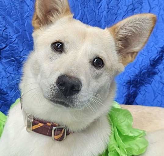 Photo of Greta