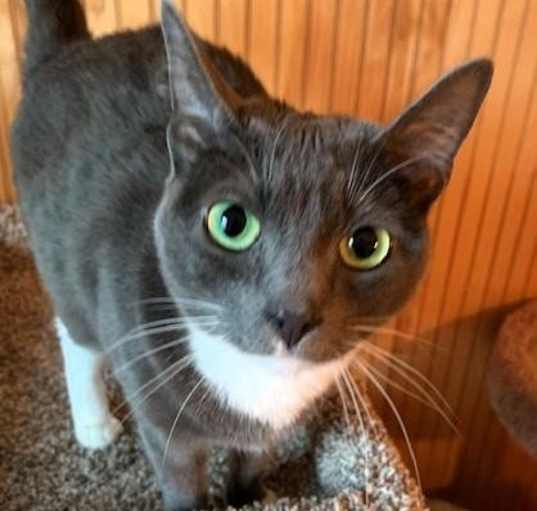Photo of Annie