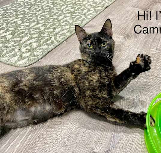 Photo of Cammy