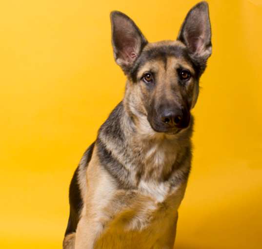 Photo of Major