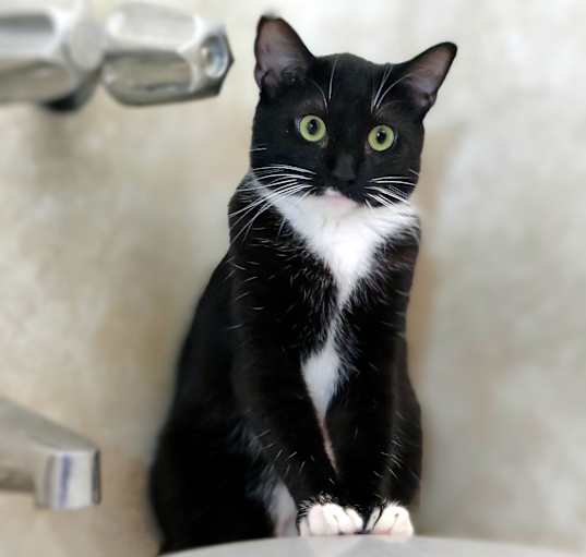 Photo of Tabitha