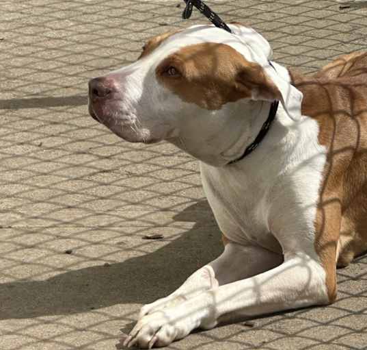 Photo of Trudie