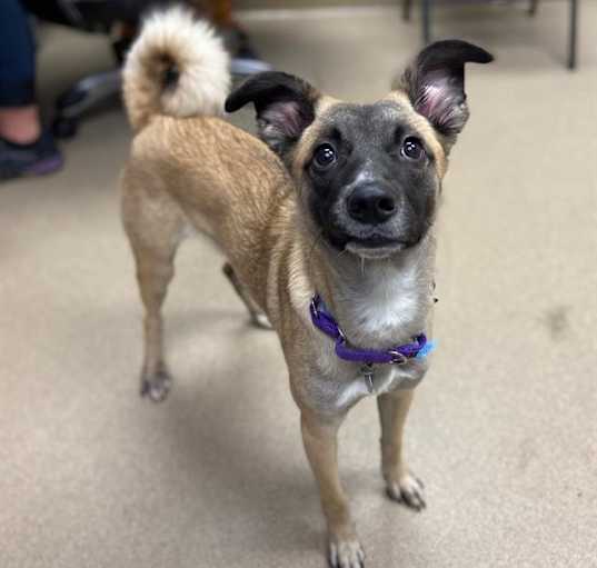 Photo of RASCAL