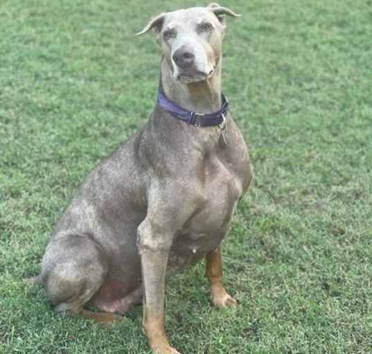Photo of Coco