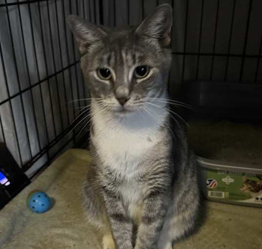 Photo of Betsy