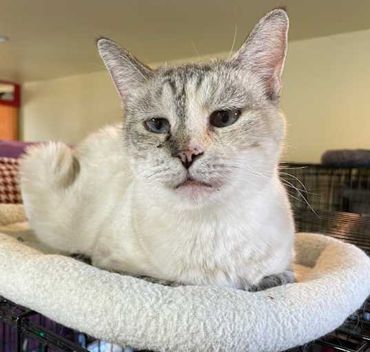 Photo of Olivia