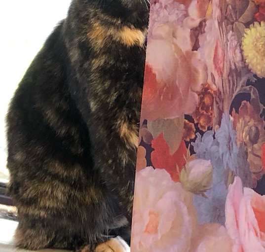 Photo of MUFFY Cuddle Princess