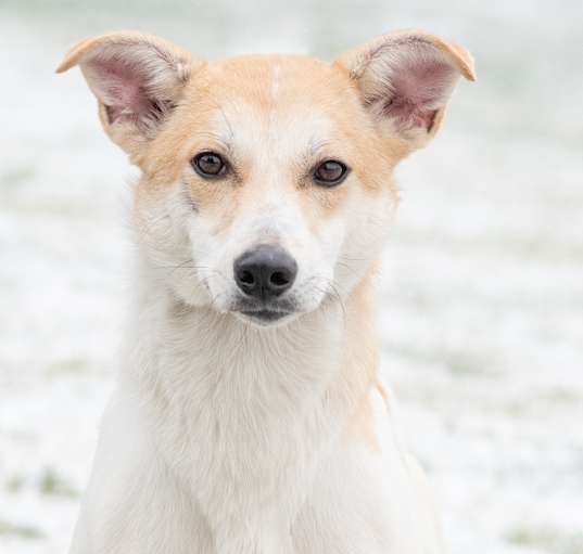 Photo of Spice