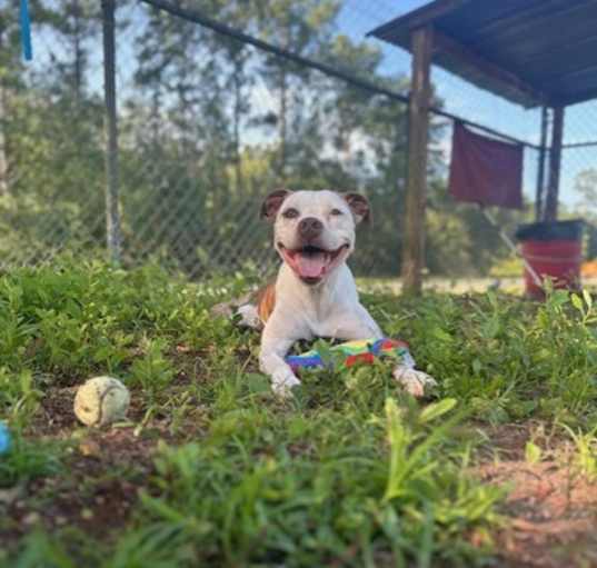 Photo of Pearl