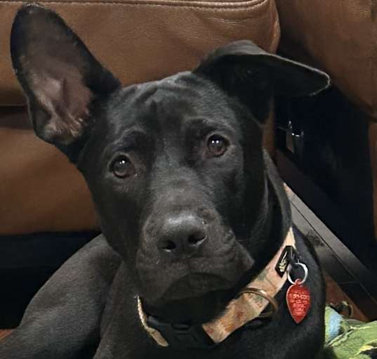 Photo of NOVA