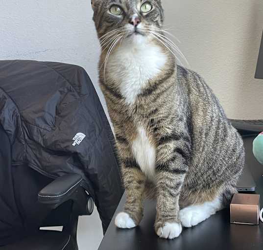 Photo of Sundance