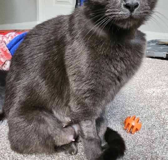 Photo of Misty