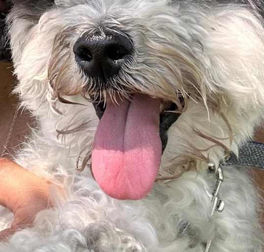 Photo of Mickey