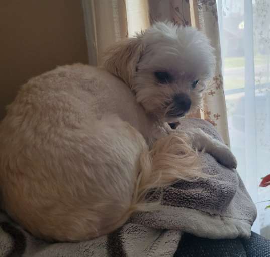 Photo of Ruffles