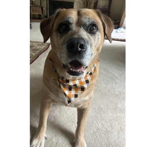 Photo of Titus