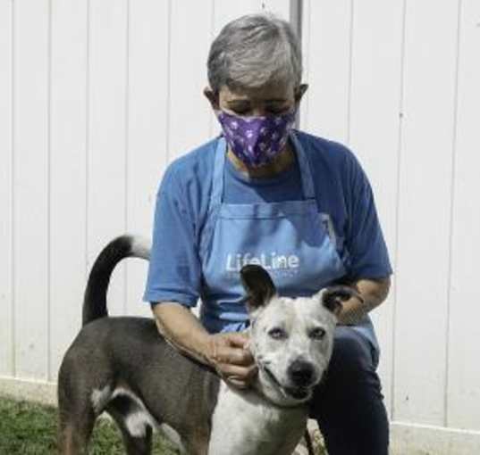 Photo of Azul- IN FOSTER