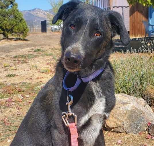 Photo of Sabrina