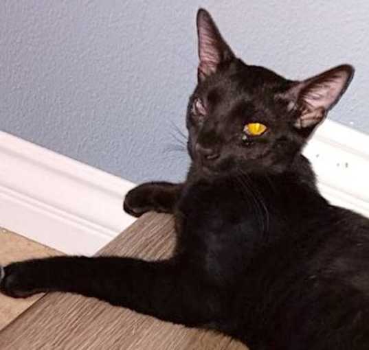 Photo of JASPER