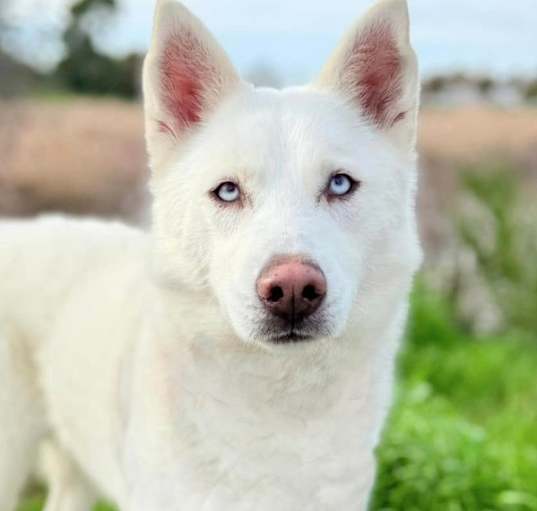 Photo of Finley