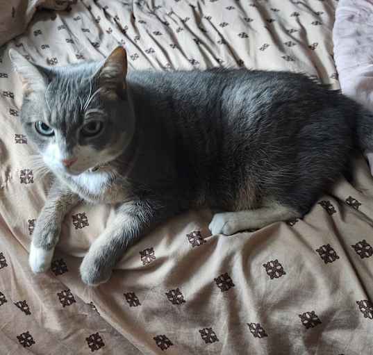 Photo of Vivian