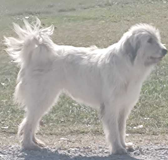 Photo of Maxine