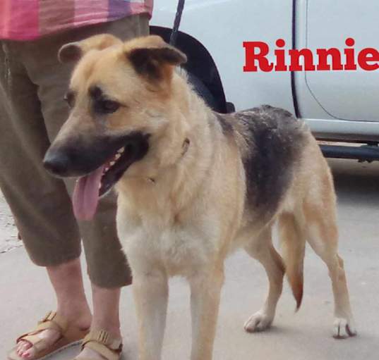 Photo of Rinie ( Rinnie)