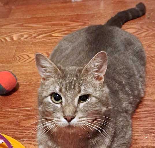 Photo of Chiquita