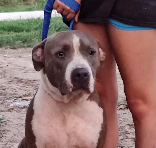 Photo of Baby Girl