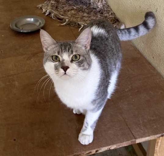 Photo of Milo