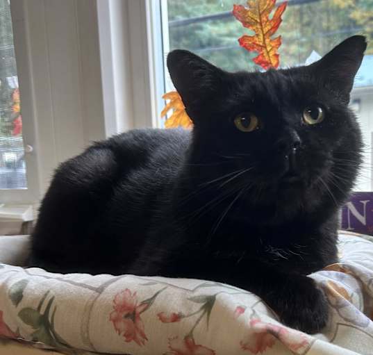 Photo of Jethro