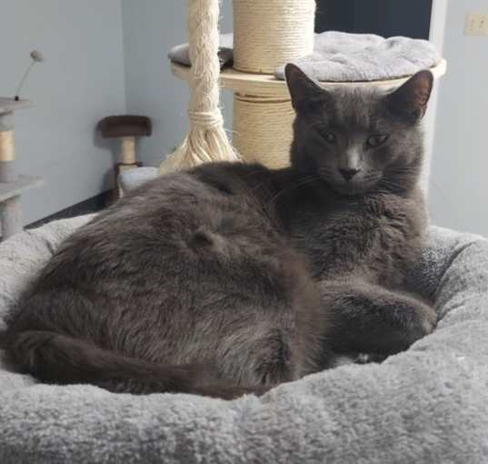 Photo of Sam
