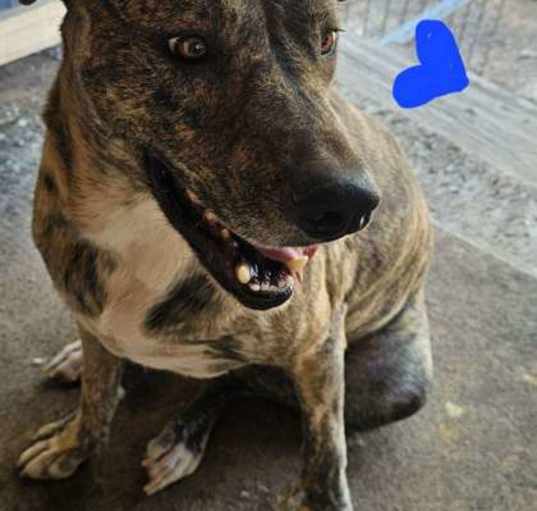Photo of Titus