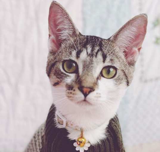 Photo of Lucy
