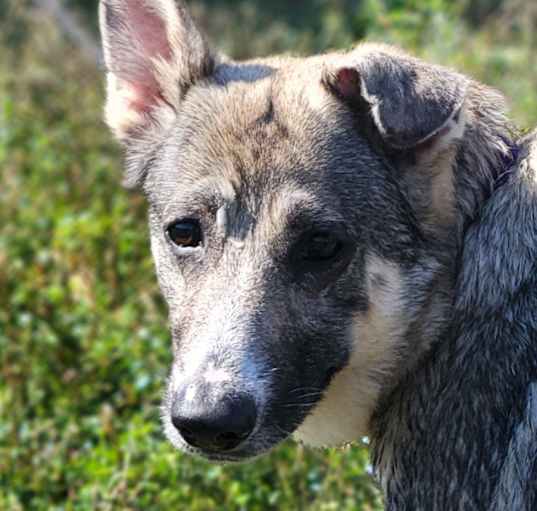 Photo of Mia