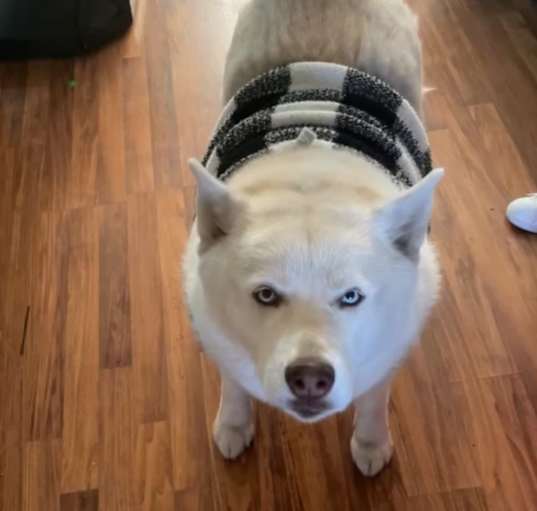 Photo of Maya
