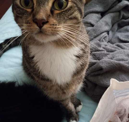 Photo of Mila