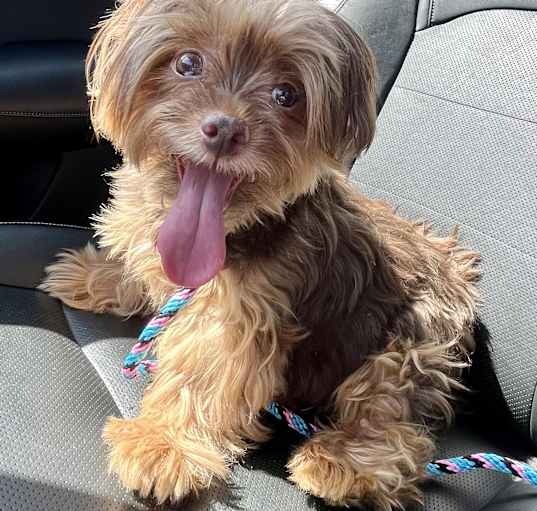 Photo of Twinky