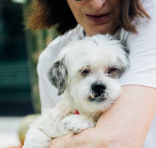 Photo of tinkerbell