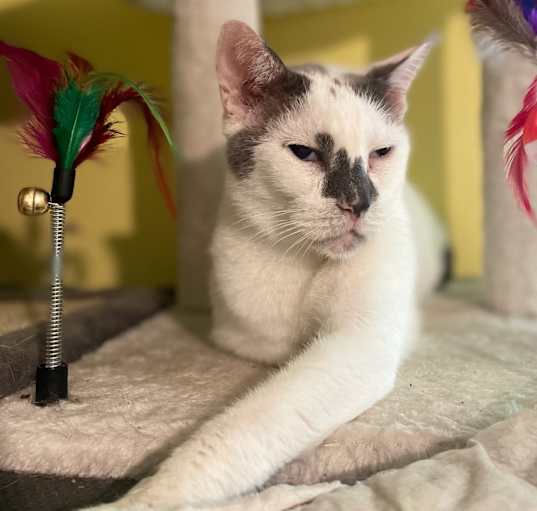 Photo of Boggle