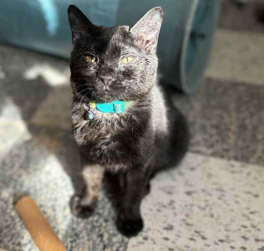 Photo of Esmeralda