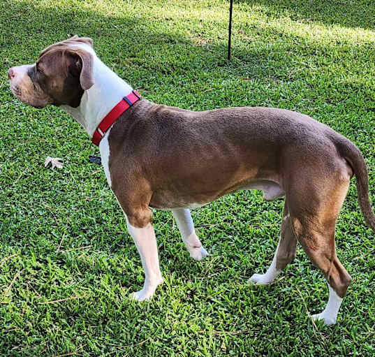 Photo of Gus