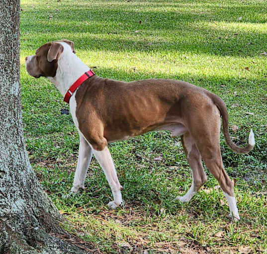 Photo of Gus